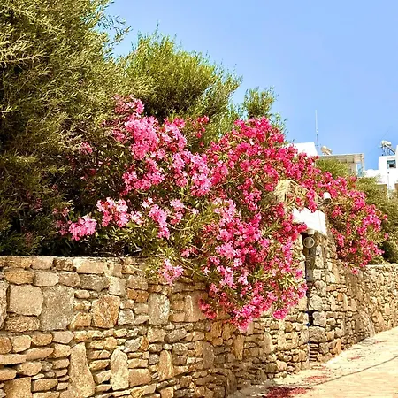 Callisso Mykonos *